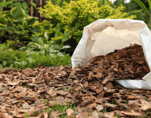 Boomschors in tuin