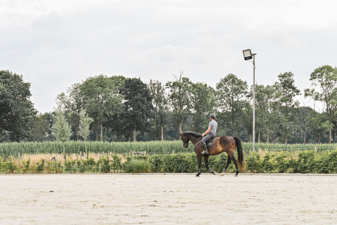 Jeroen Mostaert