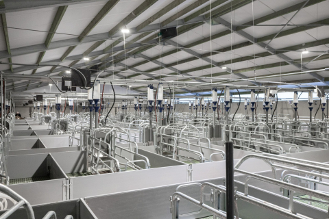 Nieuwe varkensstal bij Kampelhof