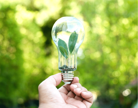 Kennisportefeuille energiescan