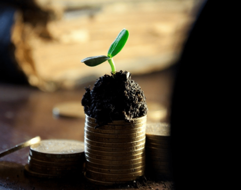 Kiem komt uit stapel geld