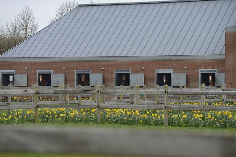 Nieuwe quarantainestal