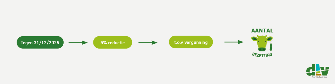 PAS maatregelen rundvee