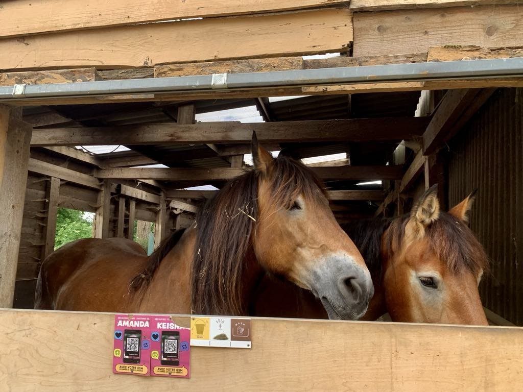 chevaux