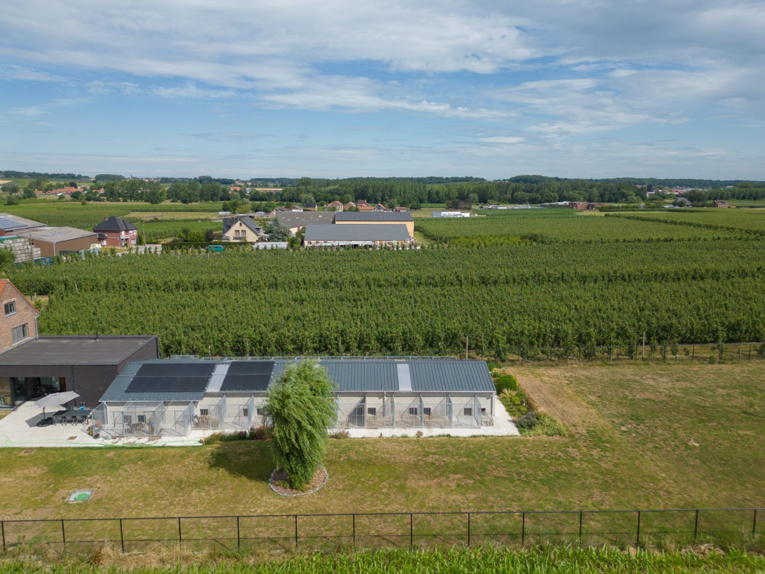 Hondenpension Van Rafelghem