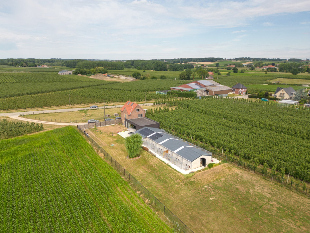 Hondenpension Van Rafelghem