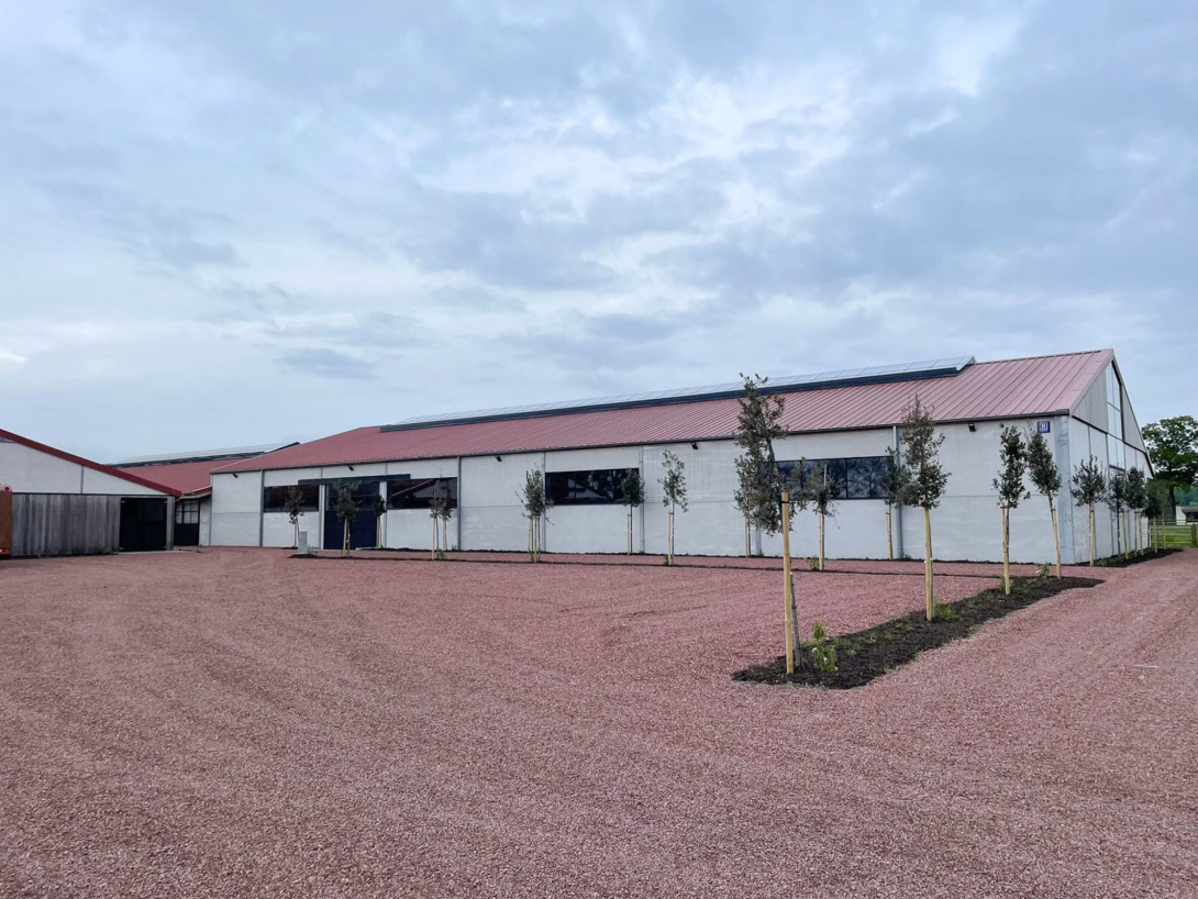 5C stables
