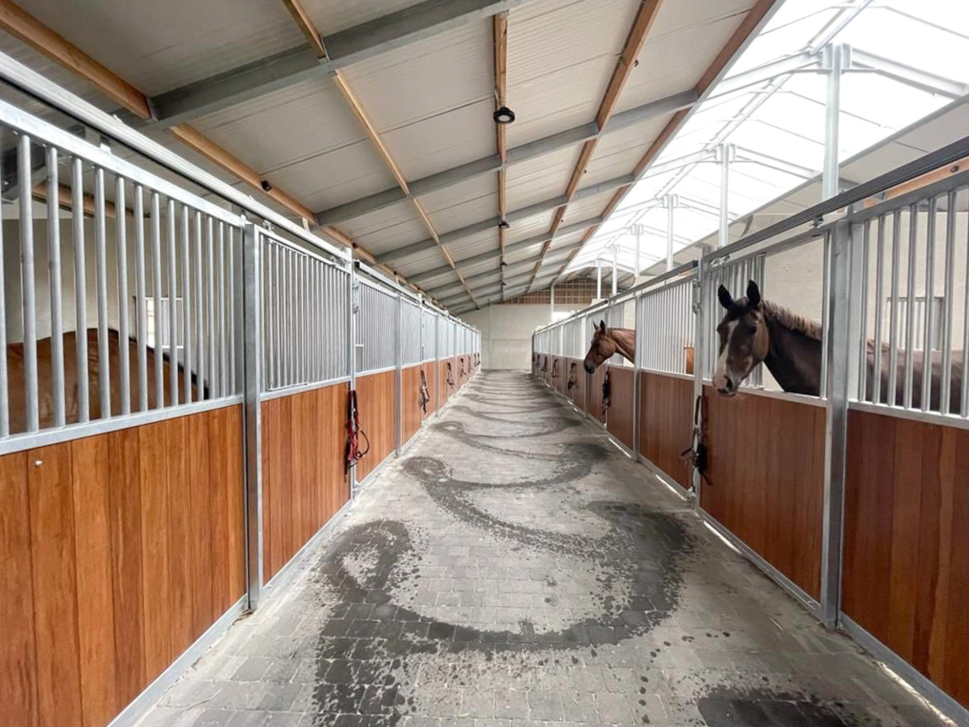 5C stables