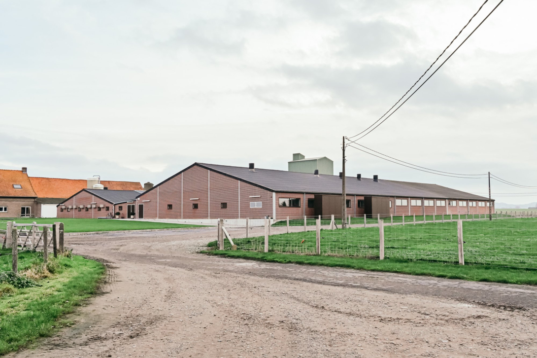 nieuwe zeugenstal voor Iepers varkensbedrijf