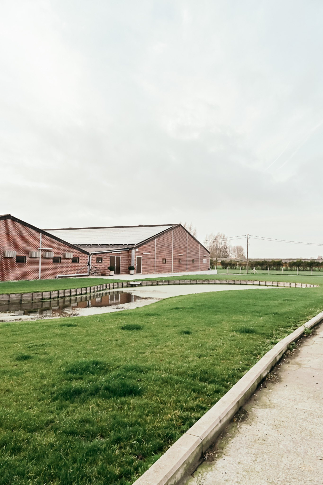 nieuwe zeugenstal voor Iepers varkensbedrijf