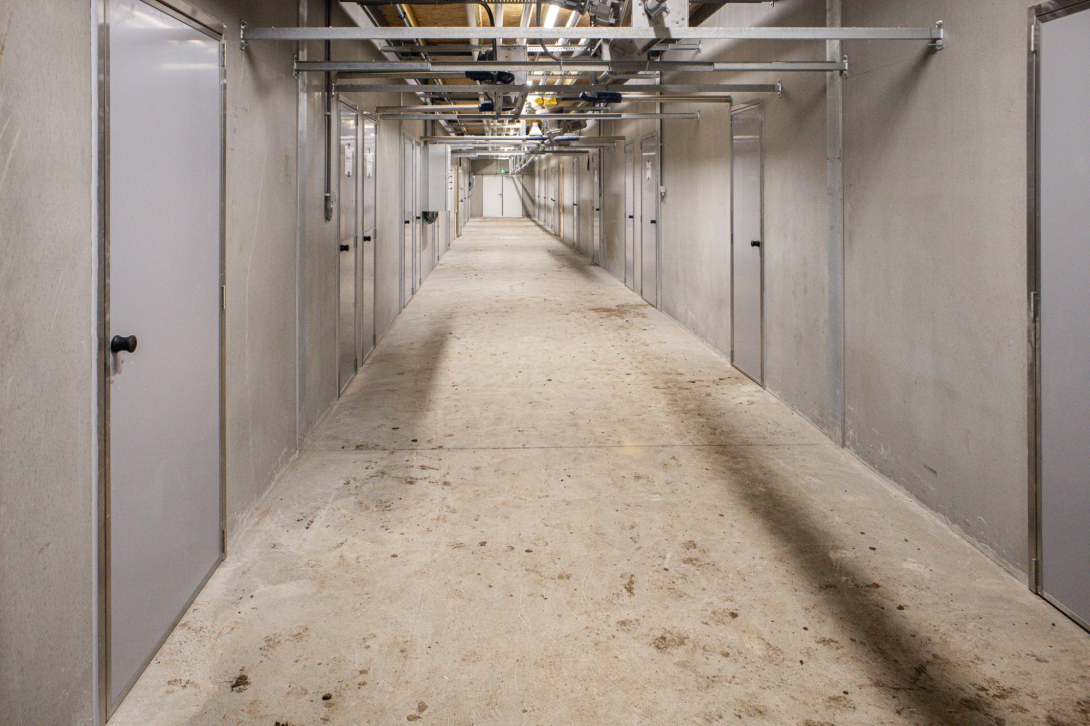 Nieuwe varkensstal bij Kampelhof