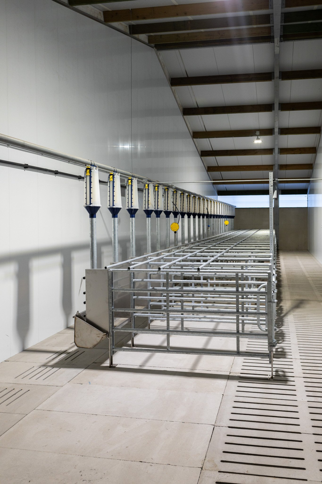 Nieuwe varkensstal bij Kampelhof