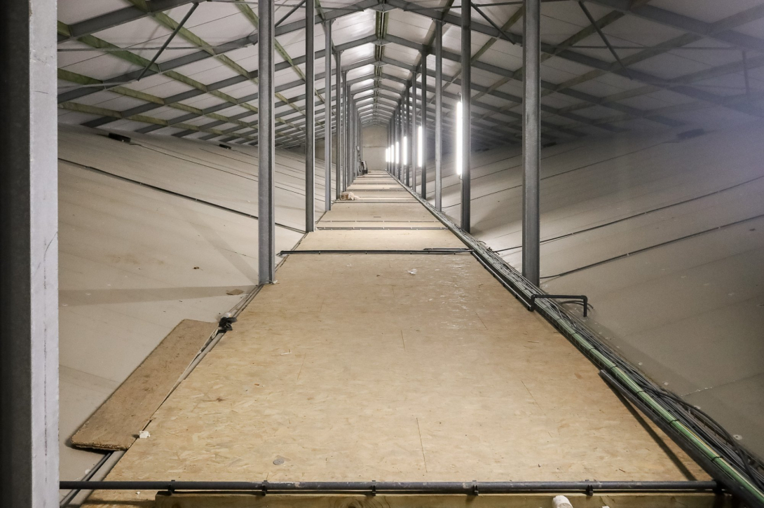 Nieuwe varkensstal bij Kampelhof