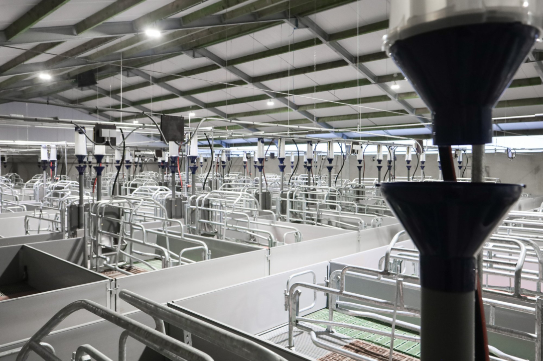 Nieuwe varkensstal bij Kampelhof