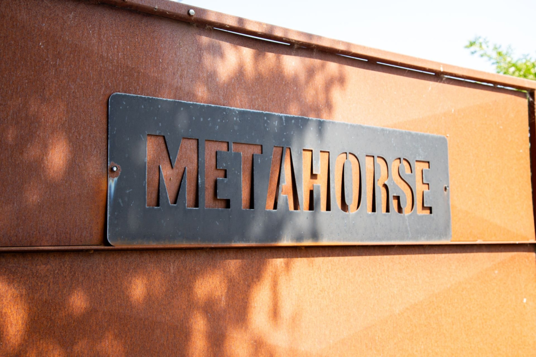 DLV Metahorse