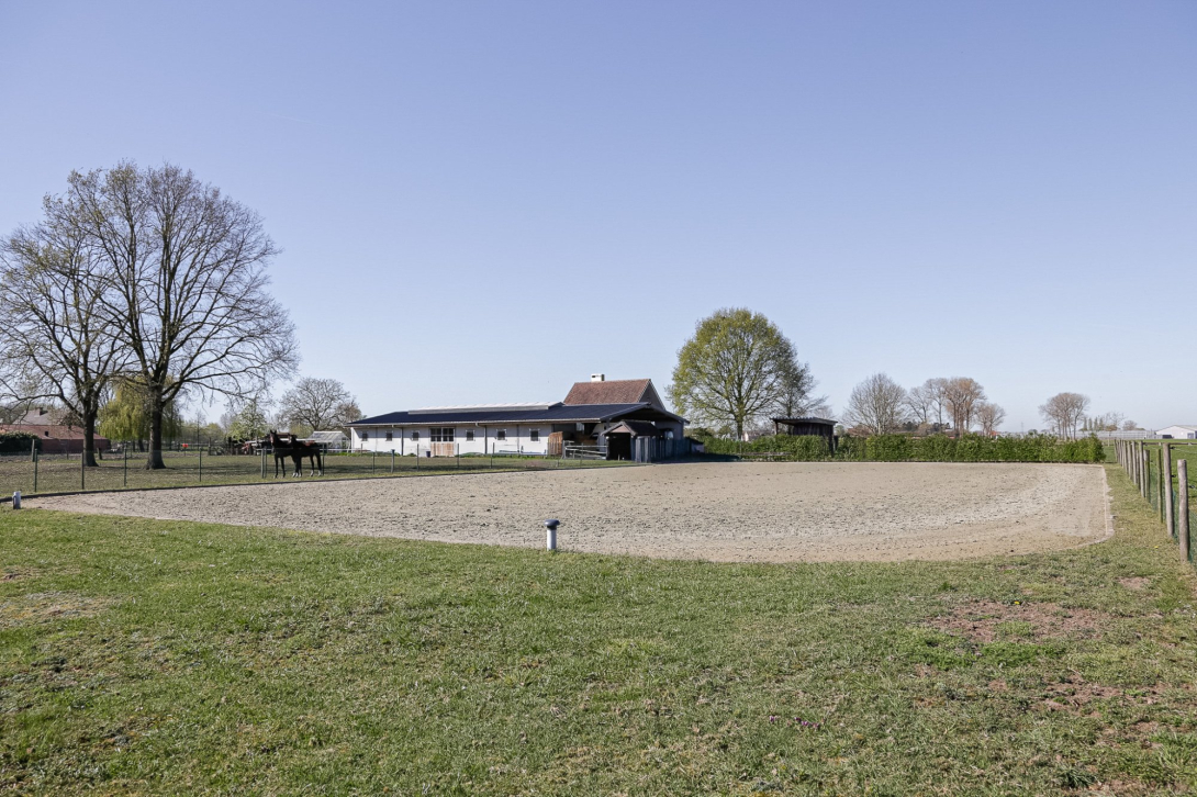 Stal d'Or