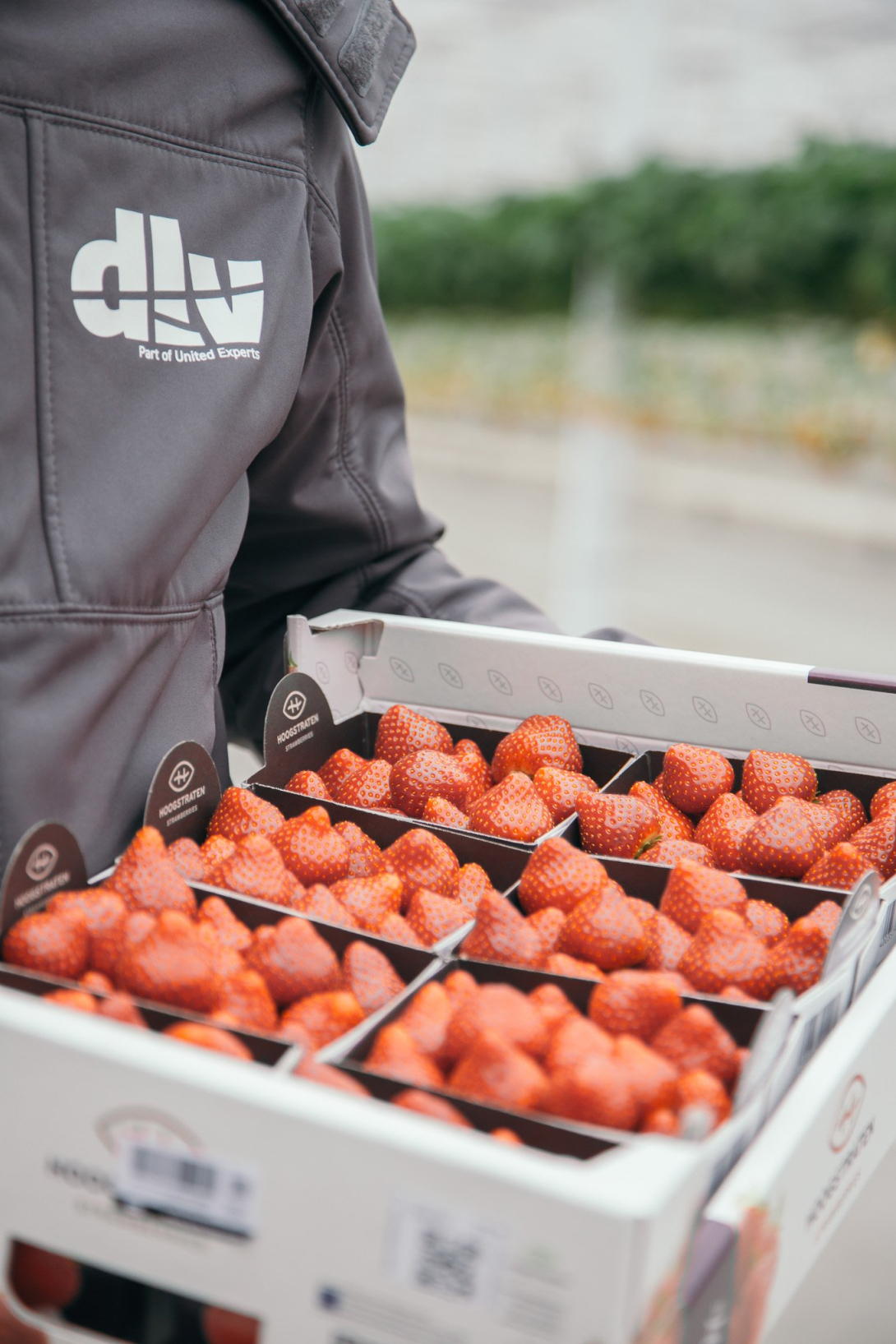 Gestelberries