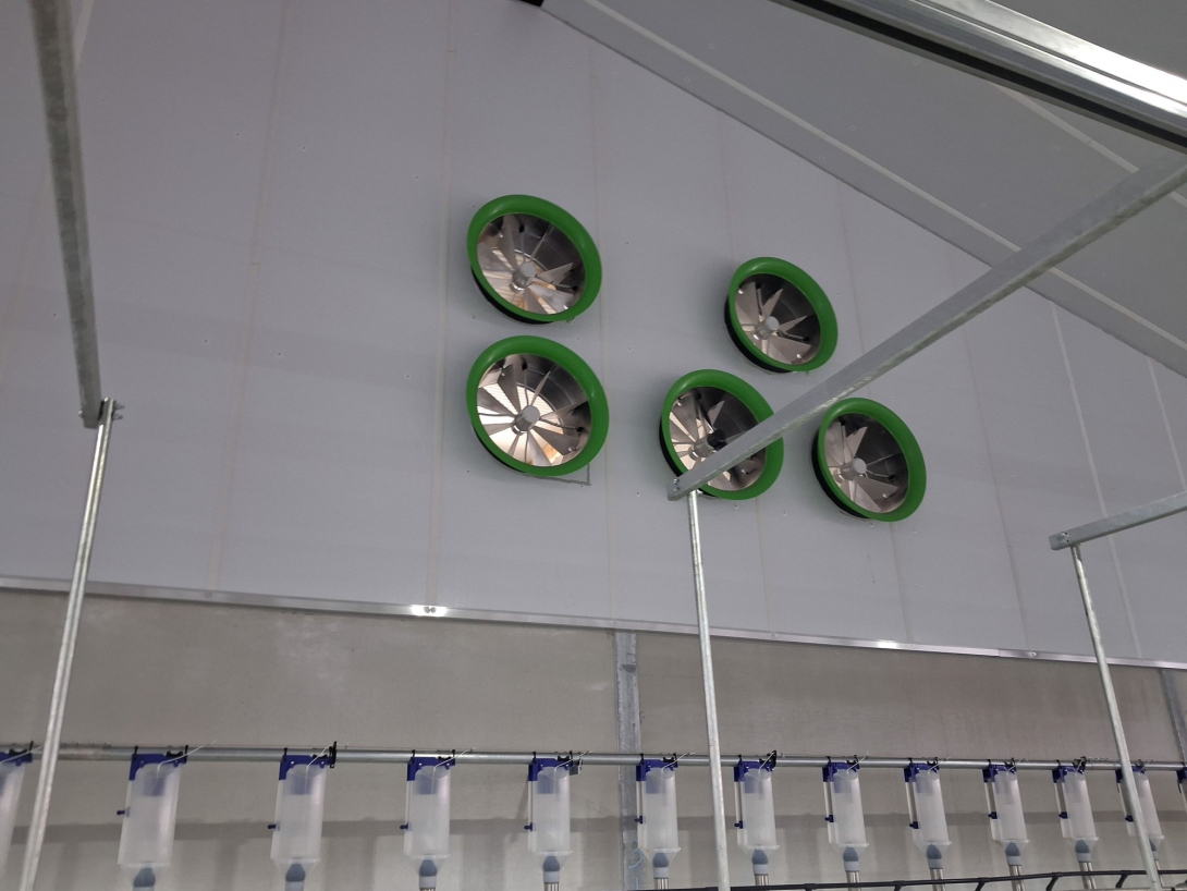 Zeugenstal Tilburg